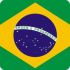 Вирус гриппа A/H1N1 неминуемо попадет в Бразилию - минздрав