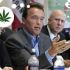 Шварценеггер предложил легализовать марихуану в Калифорнии