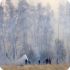 На Среднем Урале из-за пала травы сгорели восемь домов