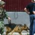 Военнослужащий погиб в Чечне, подорвавшись на мине