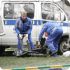Пятнадцать человек погибли, 36 получили ранения в ДТП в Мексике