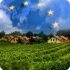 Европа чувствует себя все увереннее, но проблемы сохраняются