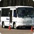 Первые рессорные автобусы ПАЗ-3204 выезжают на дорогу