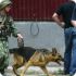 Два милиционера погибли при взрыве в Веденском районе Чечни - источник