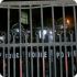 Грузинская полиция объяснила, за что побила брата Кобы Отанадзе